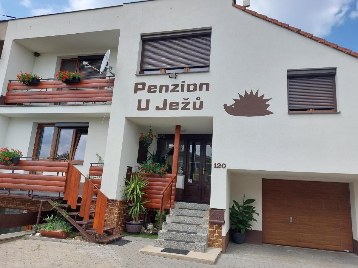 Penzion U Jezu - Ubytovani Pasohlávky Exteriör bild